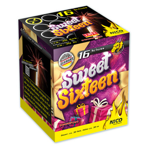 Nico Feuerwerk/Powertec Sweet Sixteen