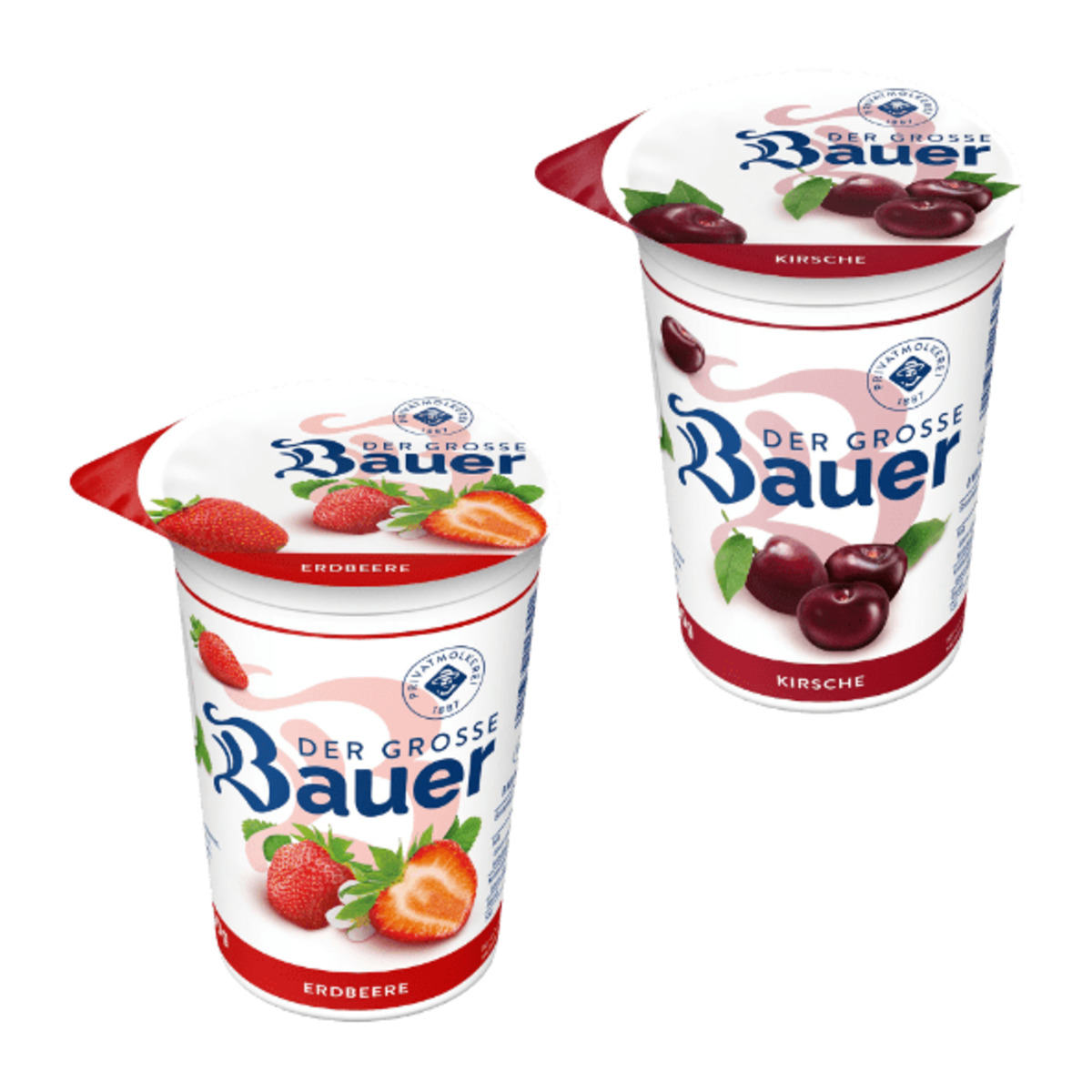 Bild 1 von BAUER Der Große Bauer