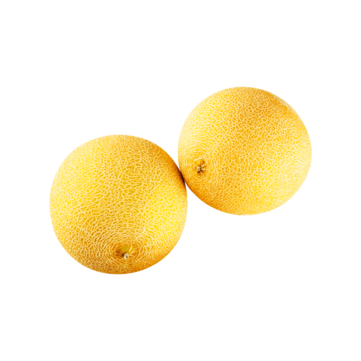 Bild 1 von Galiamelone