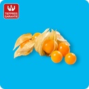 Bild 1 von Physalis