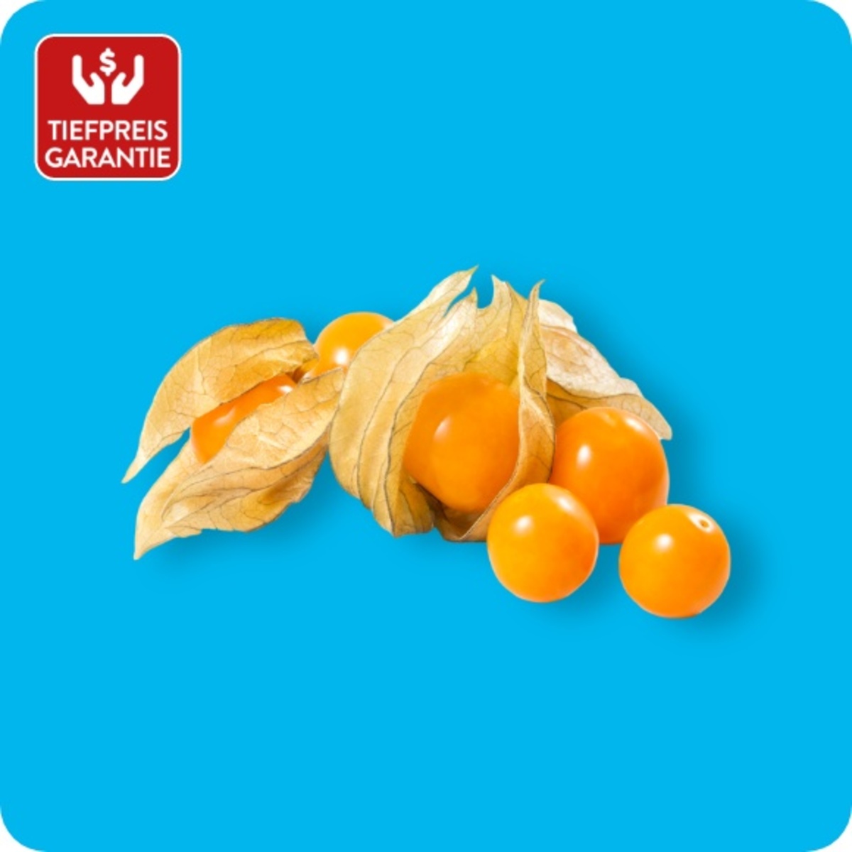 Bild 1 von Physalis