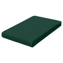 Bild 1 von Schlafgut Spannbetttuch Frottex, Dunkelgrün, Textil, 130 cm, Grüner Punkt, Textiles Vertrauen - Oeko-Tex®, Hohenstein, Oeko-Tex® Standard 100, Oeko-Tex® Made IN Green, bügelleicht, weich und an