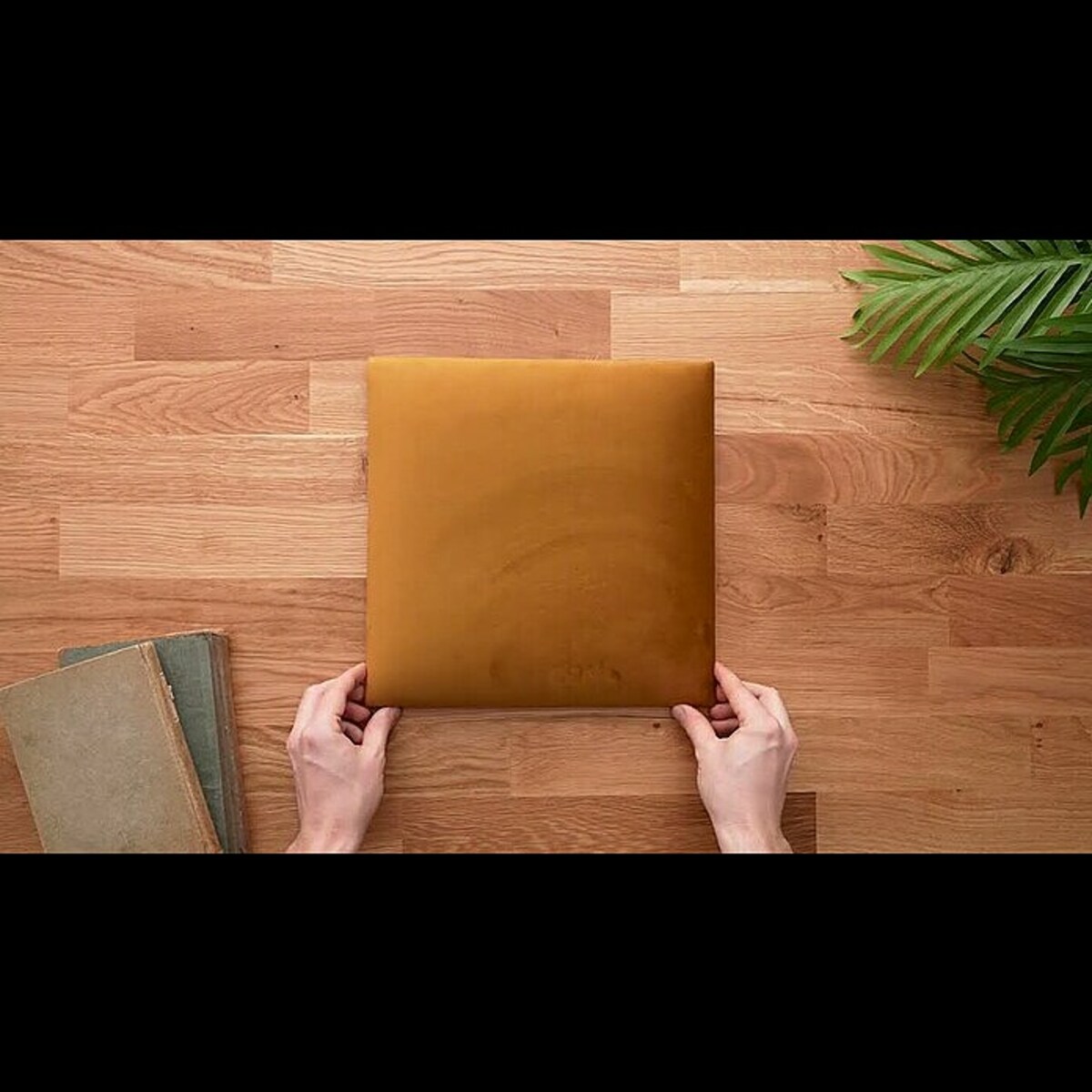 Bild 4 von Fllow Deko-Wandpolster Velvet