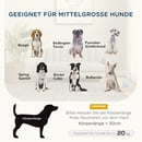 Bild 4 von PawHut Hundesessel, Hundeliege mit Kissen, Erhöhtes Hundebett, Leinenimitat