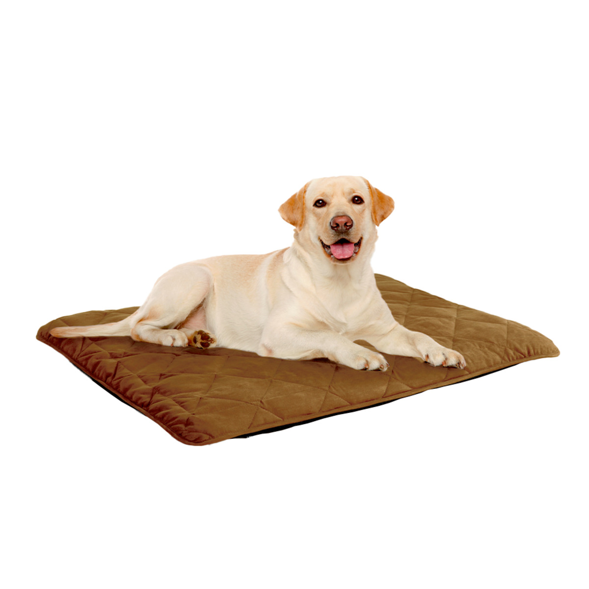 Bild 1 von ROY Wärme-Tierliegekissen "Thinsulate"