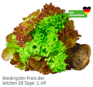 MARKTLIEBE Deutsche bunte Salate mit Wurzel
