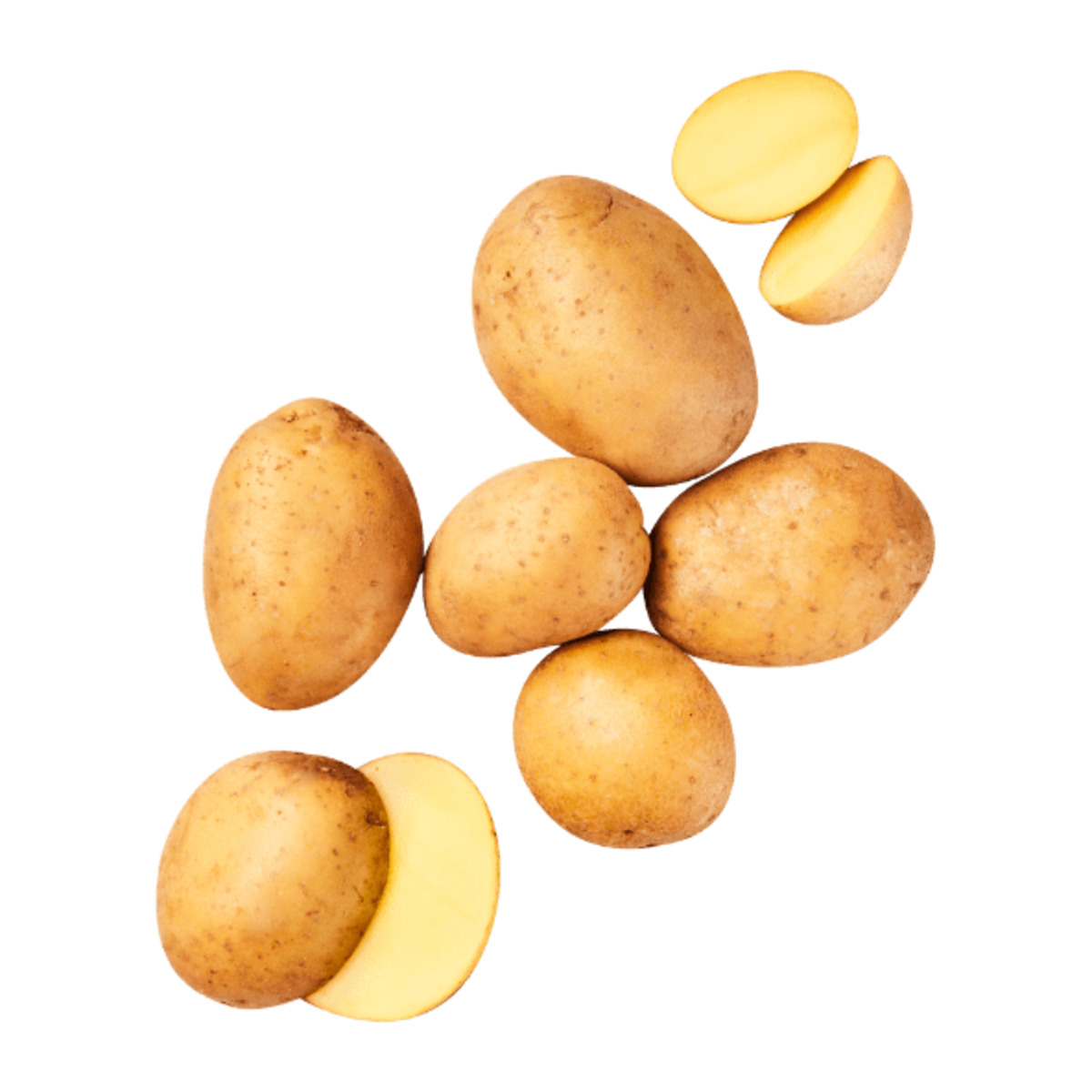 Bild 1 von GUT BIO Bio-Speisekartoffeln