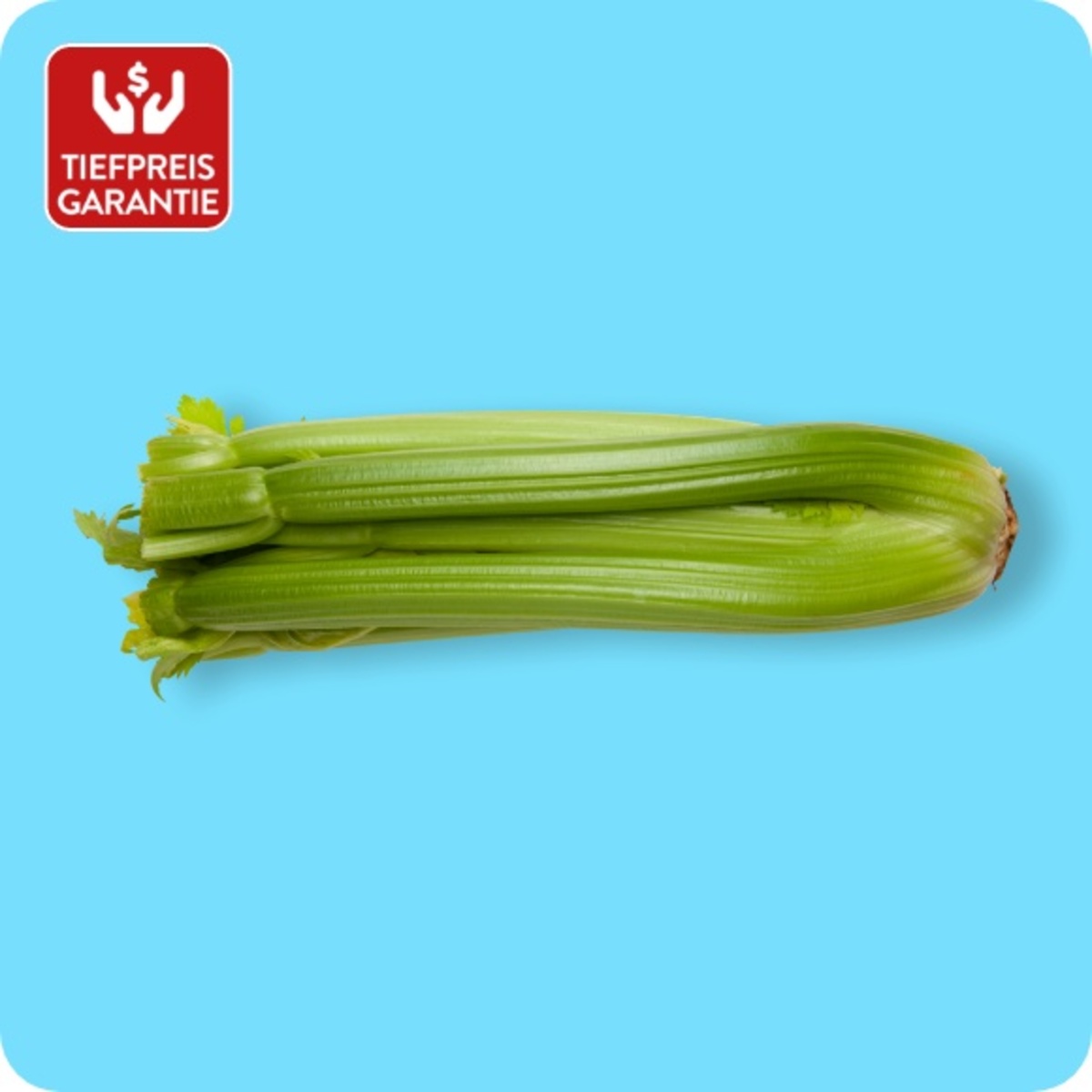 Staudensellerie Von ALDI S D Ansehen Staudensellerie Von ALDI S D Ansehen