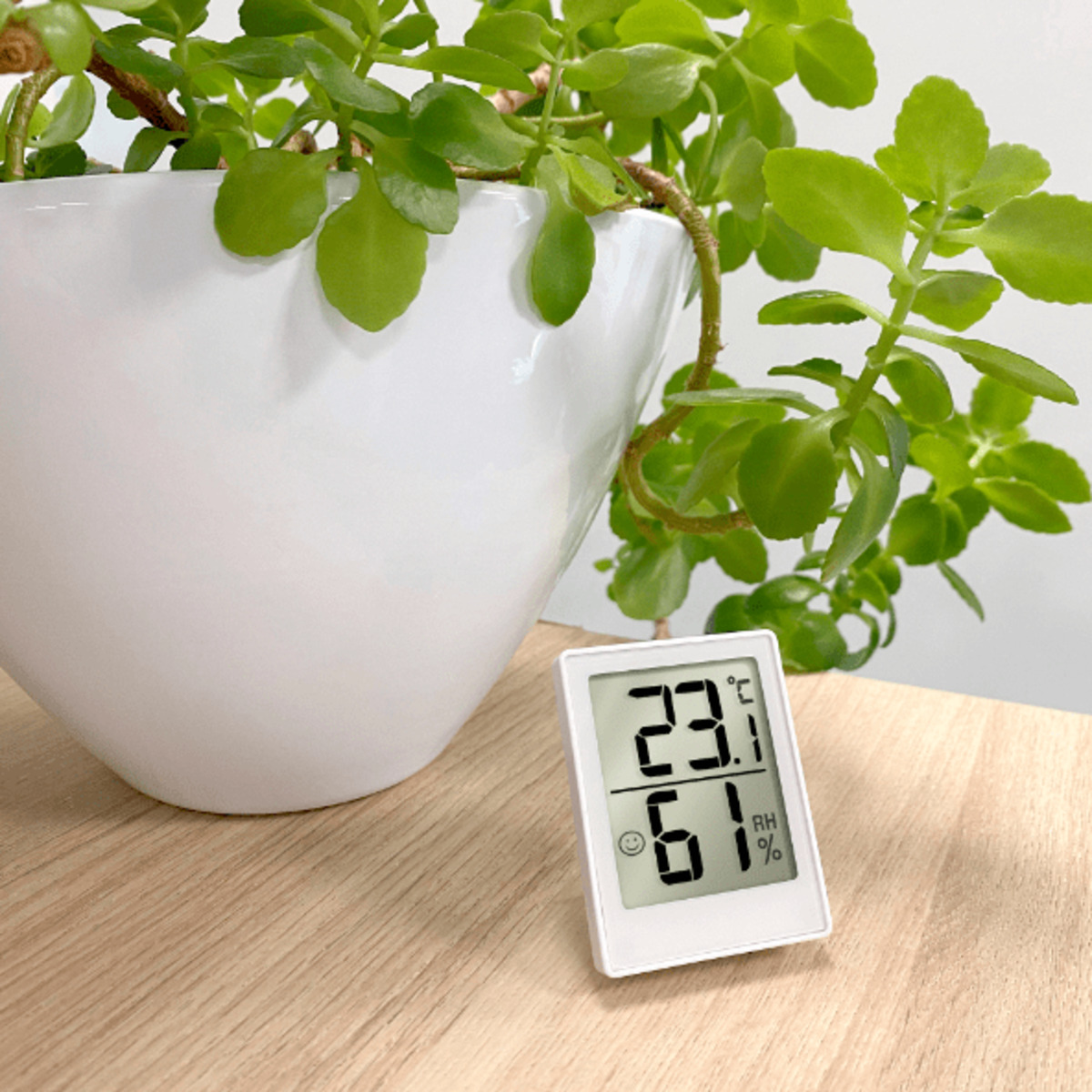 Bild 3 von KRONTALER Thermo-Hygrometer