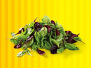 Bild 1 von Salat-Mix, 
         125 g
