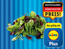 Bild 1 von Salat-Mix, 
         125 g