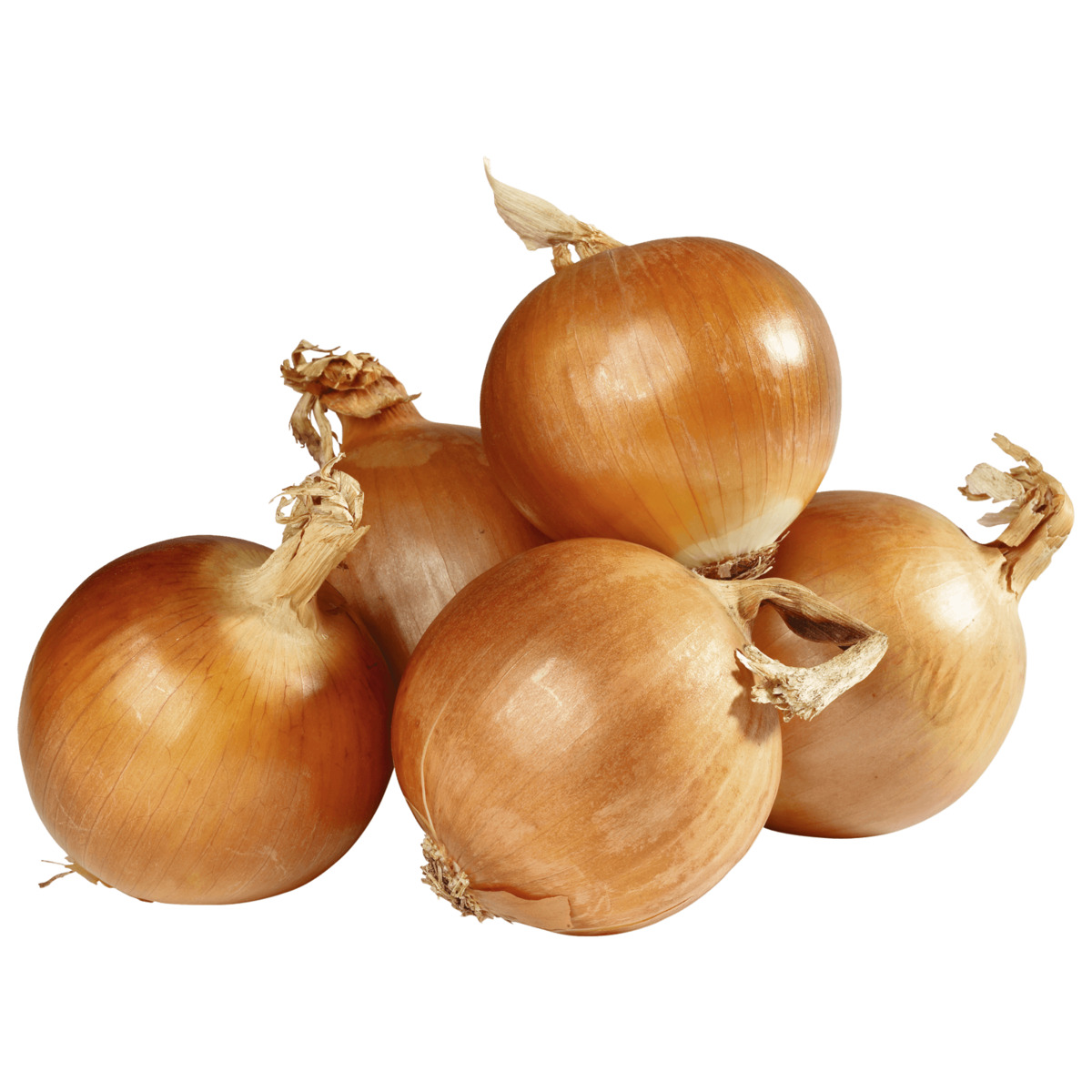 Bild 1 von Bio Zwiebeln gelb 750g im Netz