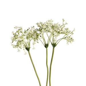 Blumenbündel Schleierkraut, L:28cm, weiß