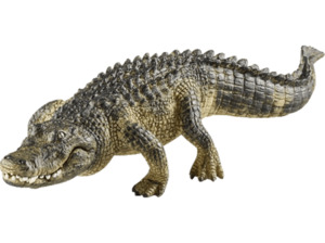 SCHLEICH Alligator Spielfigur Mehrfarbig
