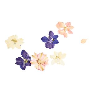 Frühlingsblumenmix gepresst 6St, pastell