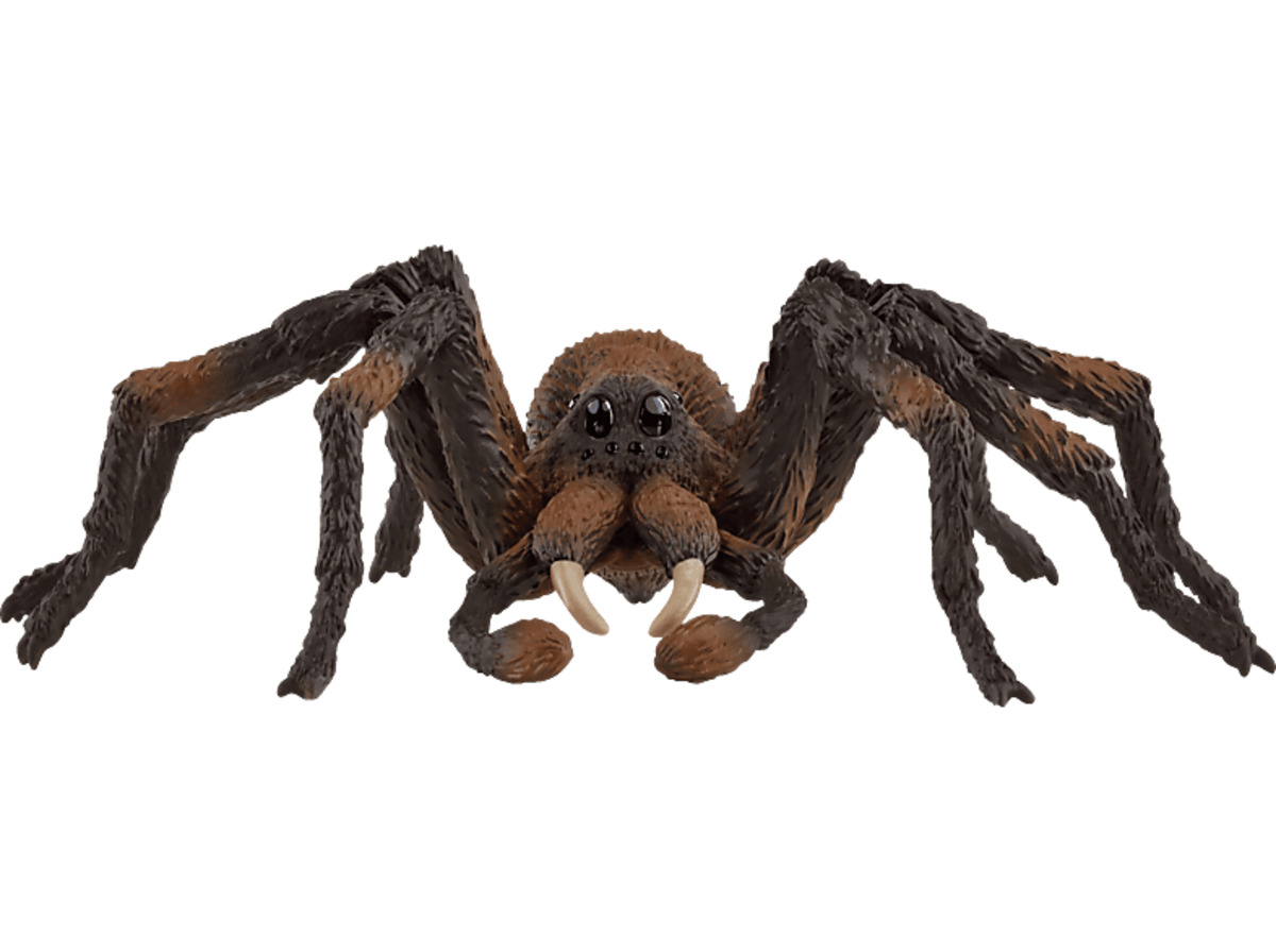 Bild 1 von SCHLEICH Aragog Spielfigur Mehrfarbig