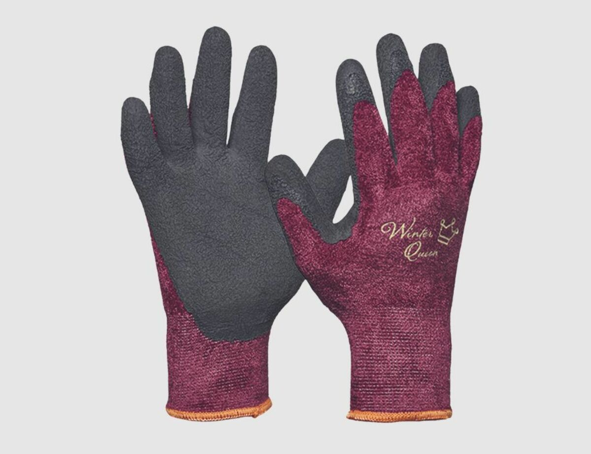 Bild 1 von Schutzhandschuh Winter Queen M
