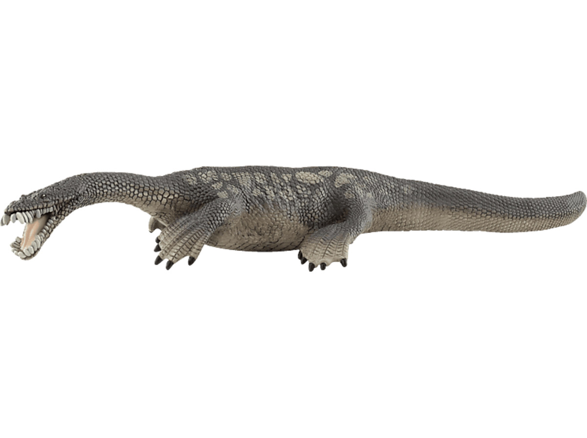 Bild 1 von SCHLEICH Nothosaurus Spielfigur Mehrfarbig