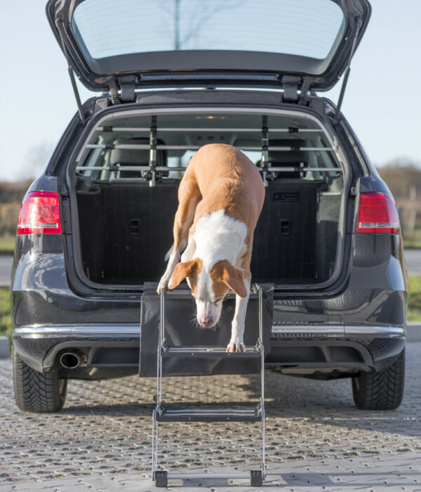 Bild 3 von Trixie Falttreppe, 3-stufig, ca. B37/H50-57/T120 cm