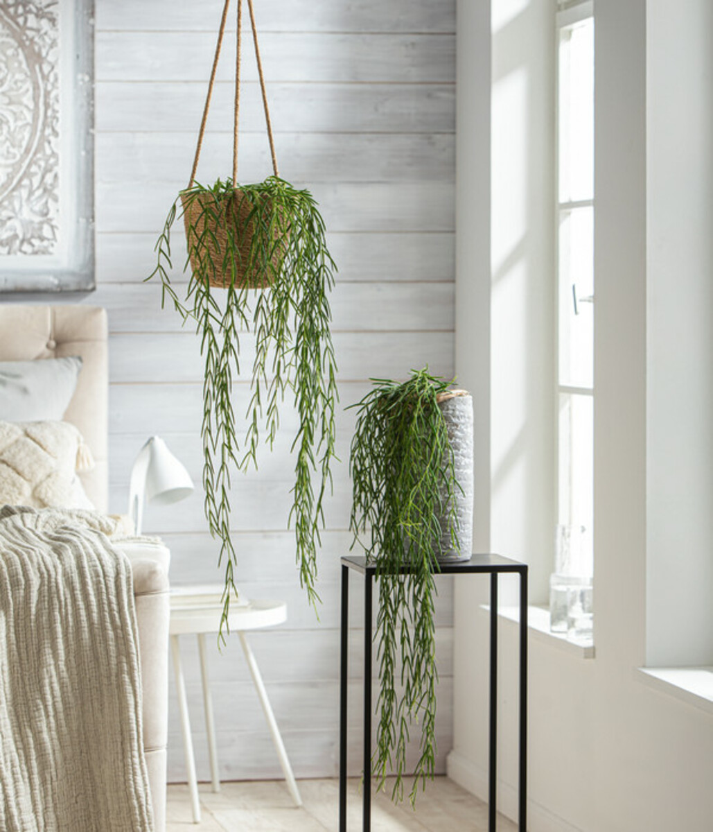 Bild 3 von Dehner Keramik-Vase Toni, rund, grau