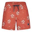 Bild 1 von Barts
              
                 FALLS SHORTS KIDS Kinder - Badehose