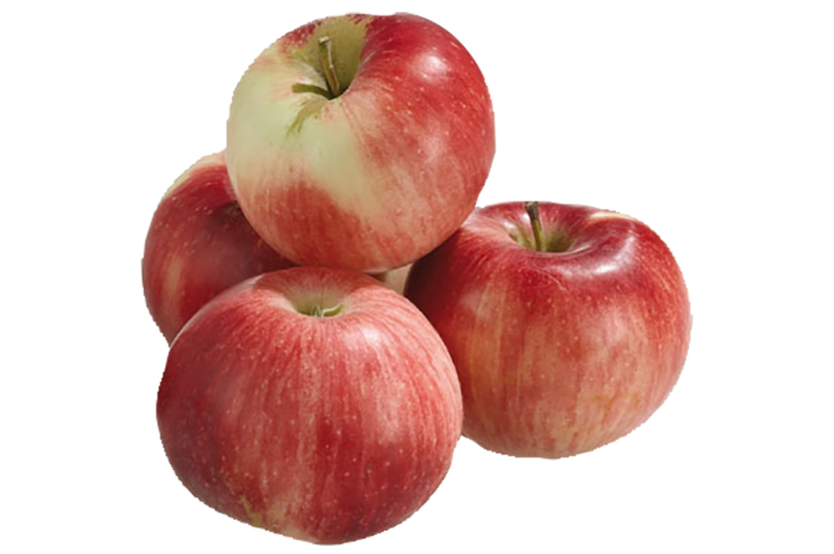 Bild 1 von Gala Äpfel