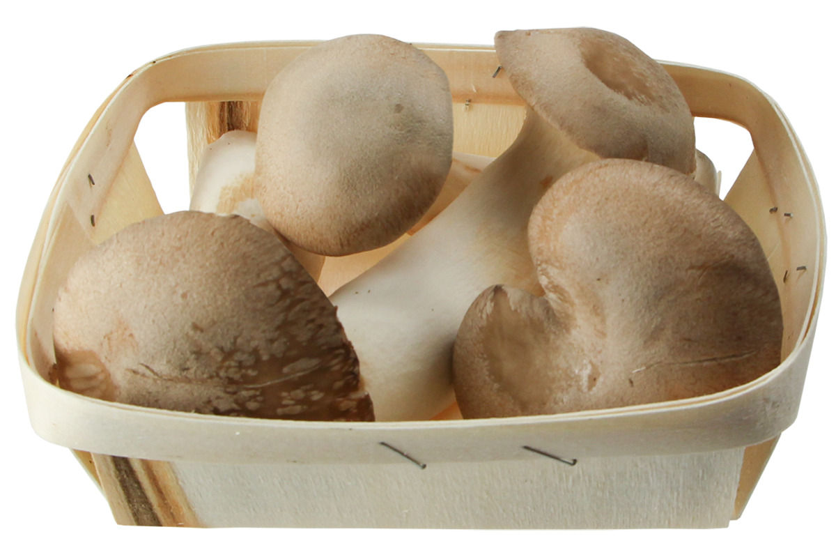 Bild 1 von Kräuterseitlinge in der Schale