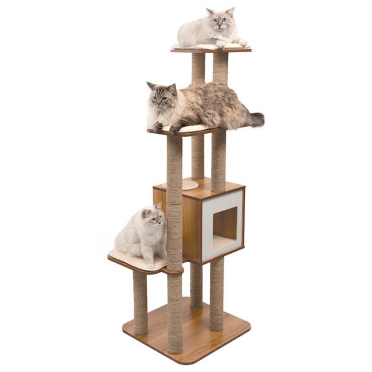 Bild 1 von Kratzbaum High Base XL