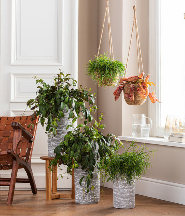 Bild 2 von Dehner Keramik-Vase Toni, rund, grau