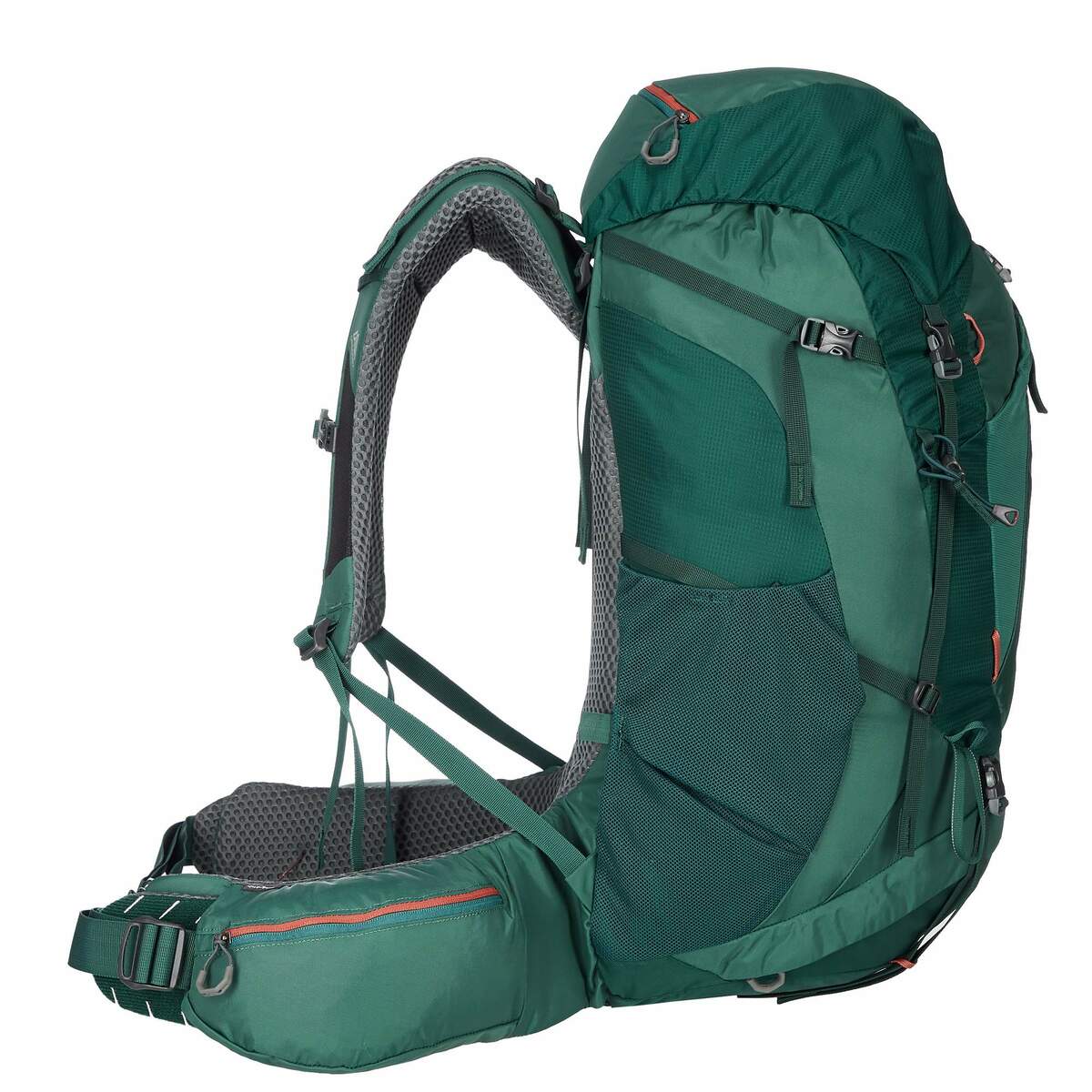 Bild 2 von Gregory
              
                 AMBER 65 PLUS Damen - Trekkingrucksack Damen