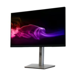 Dell 23,8' LED-Monitor P2423D