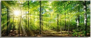 800W marmony® Infrarot-Heizung Motiv "Forest"
