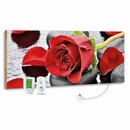 Bild 1 von 800W marmony® Infrarot-Heizung Motiv "Red Rose"