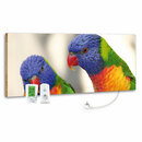 Bild 1 von 800W marmony® Infrarot-Heizung Motiv "Birds"