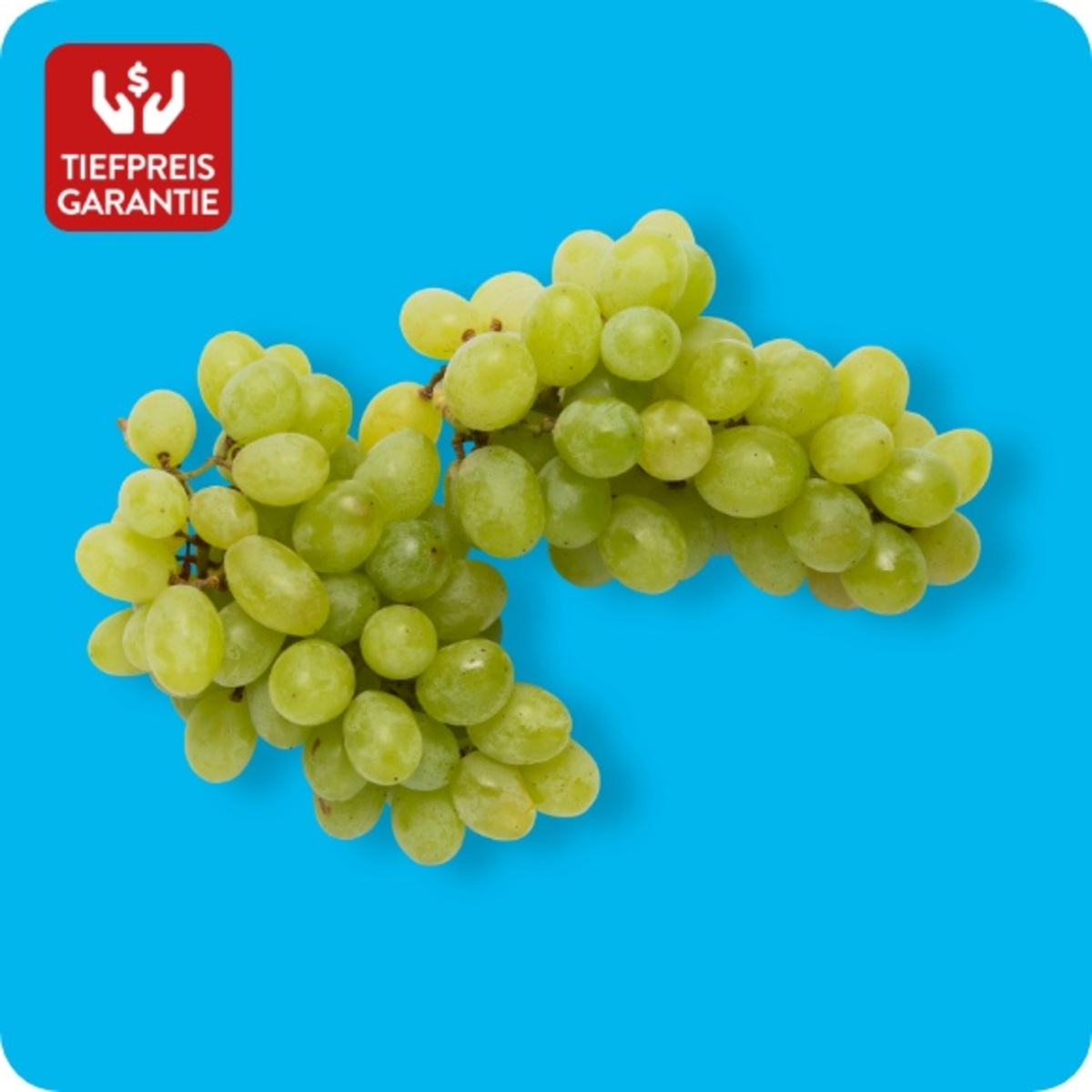 Bild 1 von Trauben, hell