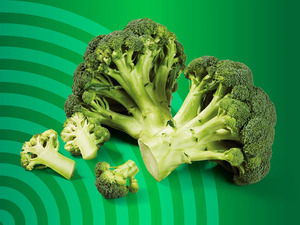 Bio Broccoli, 
         300 g