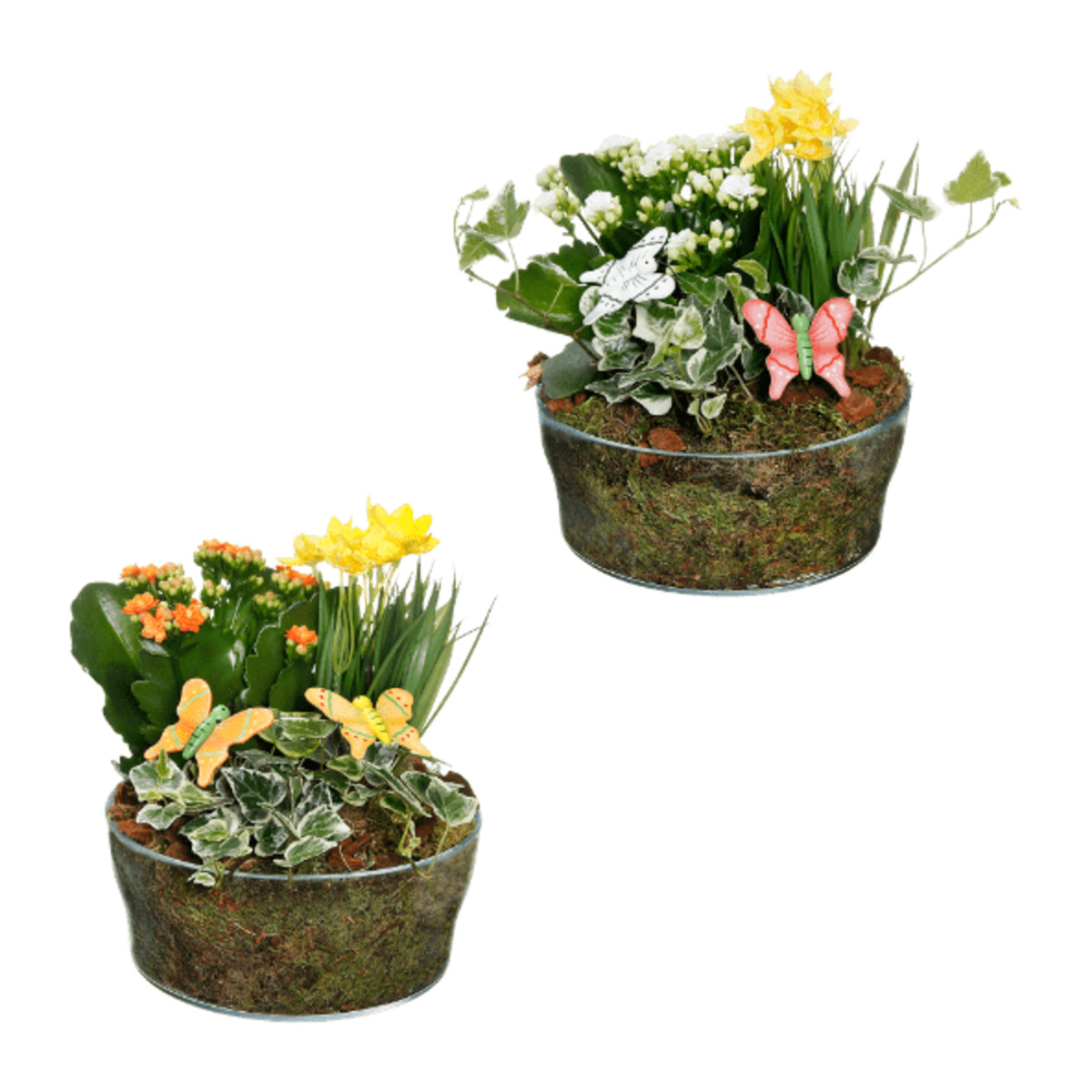 Bild 1 von GARDENLINE Frühlingsschale