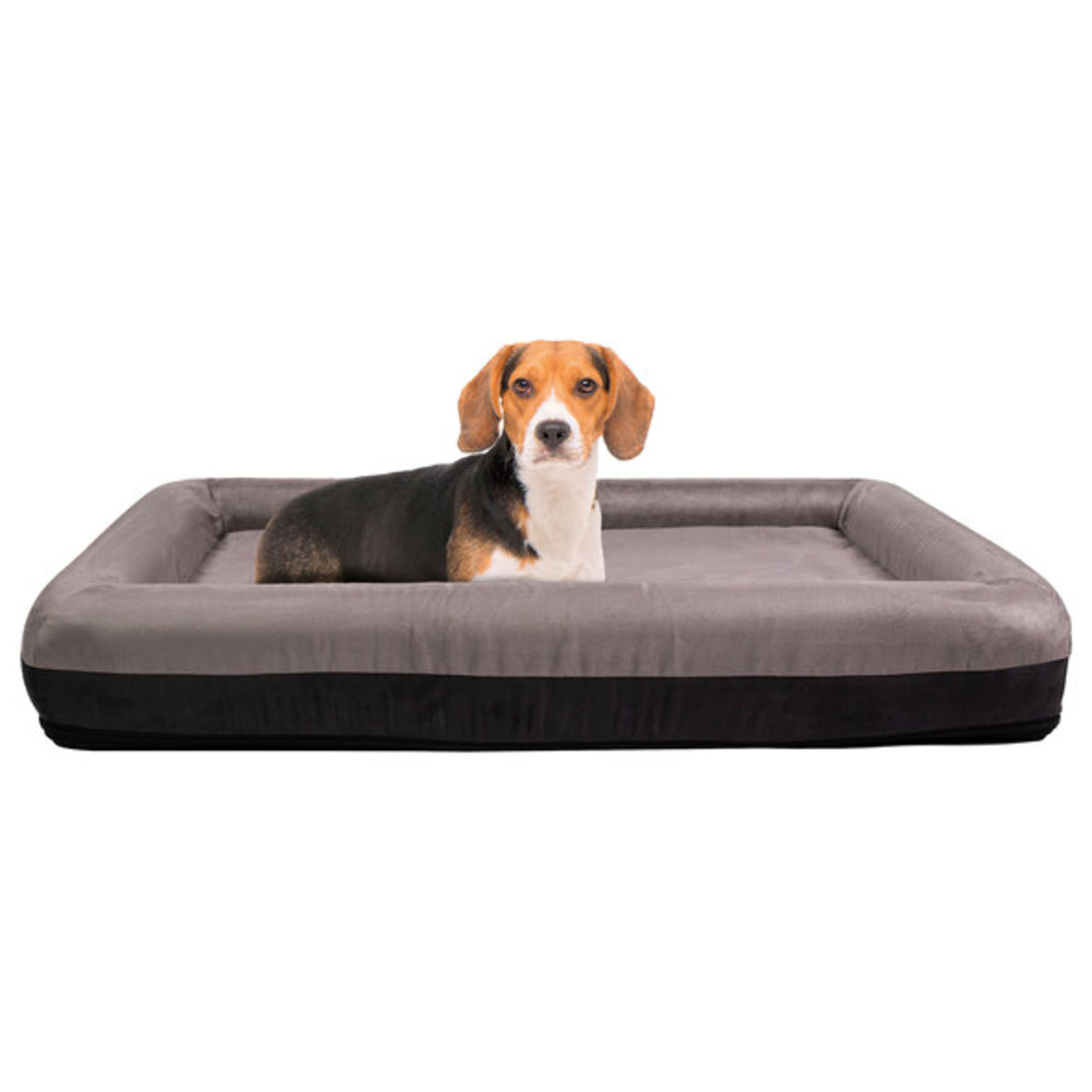 Bild 1 von Hundebett