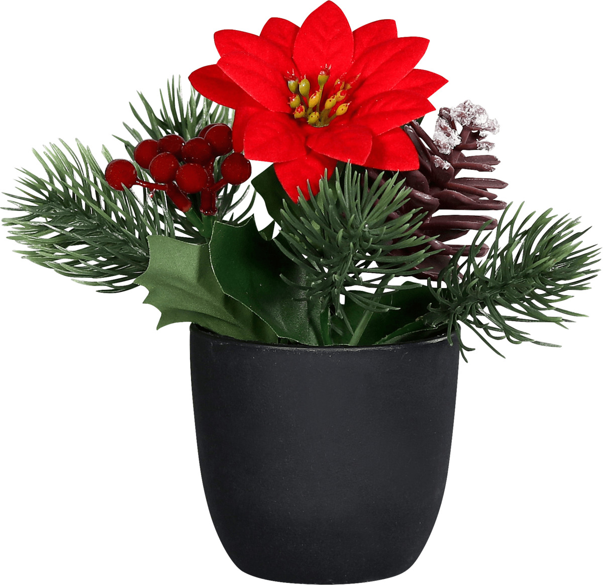 Bild 1 von Dekorieren & Einrichten Weihnachtsstern mit Tannengrün, rot