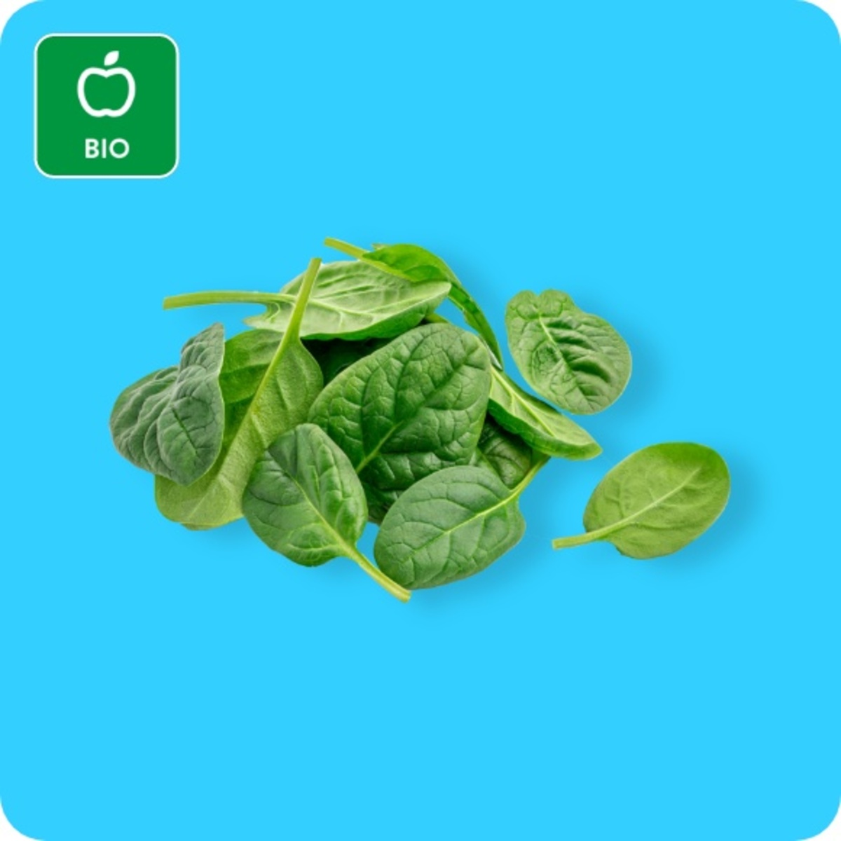 Bild 1 von Bio-Babyspinat