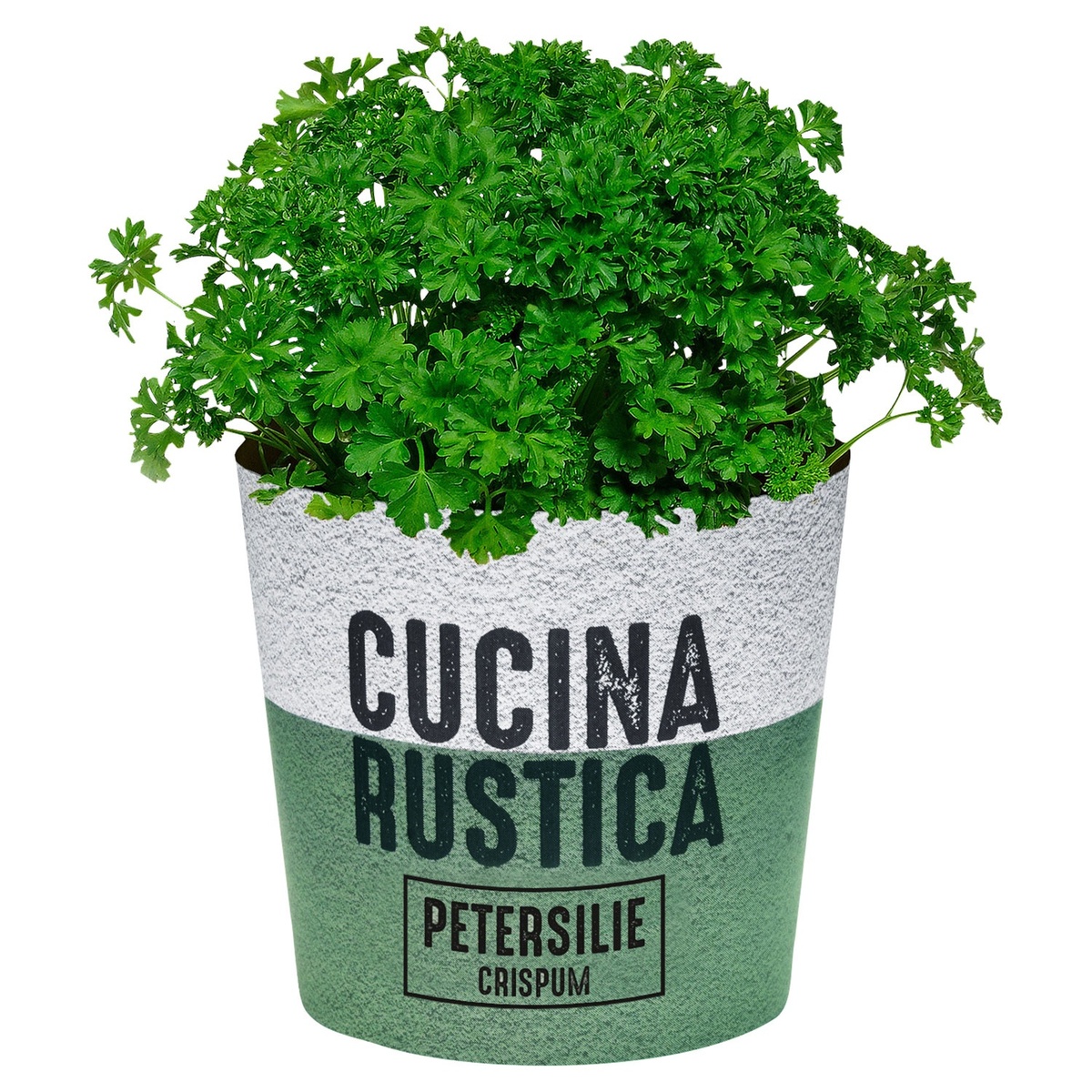 Bild 1 von GARDENLINE Gewürzkräuter