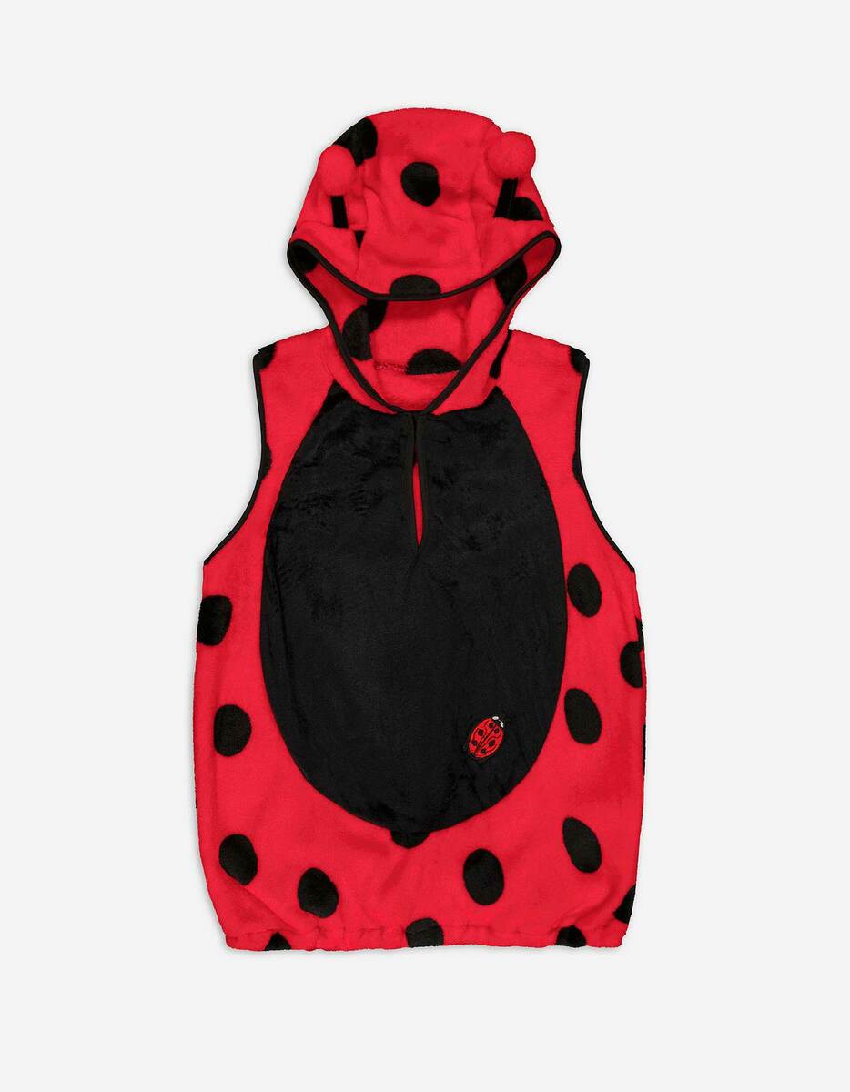 Bild 1 von Kostüm - Marienkäfer