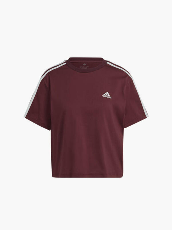 Bild 1 von adidas Crop T-Shirt