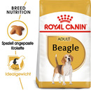 Bild 1 von ROYAL CANIN Beagle Adult 12 kg