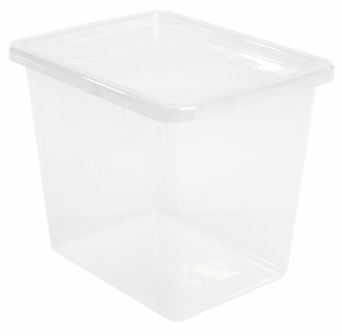 Bild 1 von Aufbewahrungsbox BASIC BOX 31L m/Deckel transparent