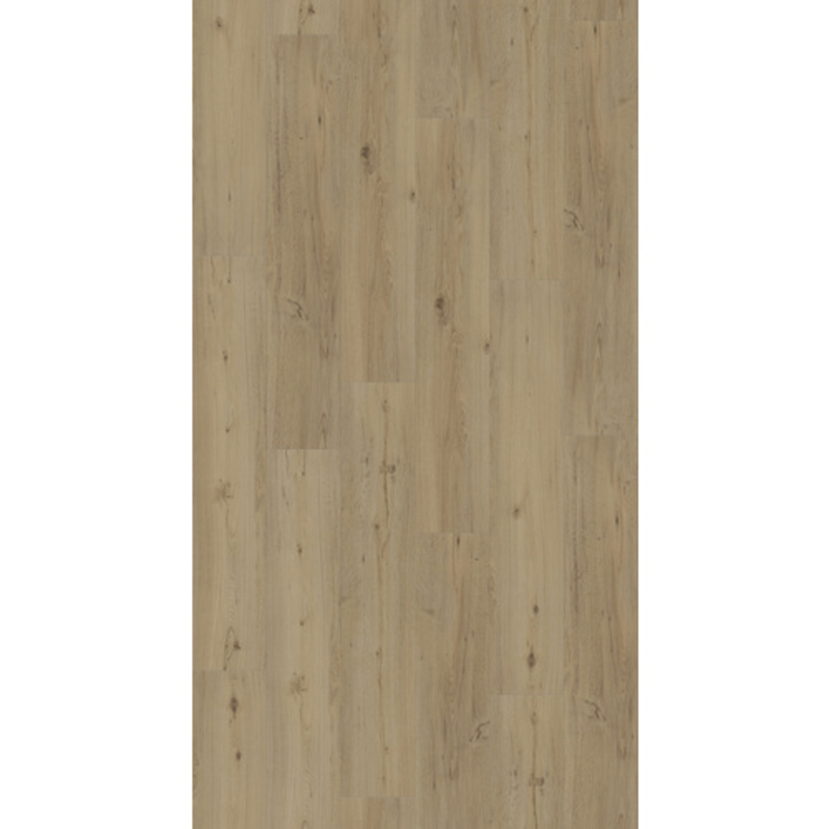 Bild 1 von PARADOR Designboden Handmuster »Classic 2030«, BxL: 216 x 200 mm, Eiche - braun