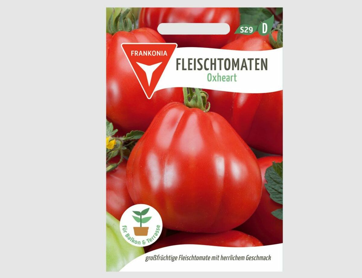Bild 1 von Tomate Oxheart
