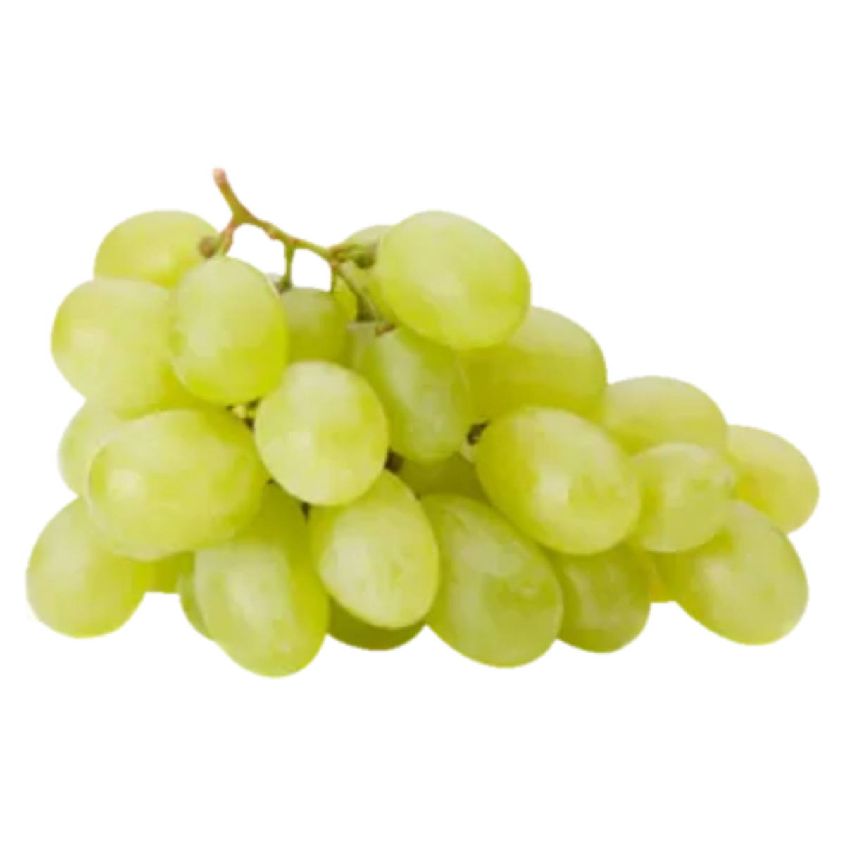 Bild 1 von Südafrika
Tafeltrauben hell kernlos