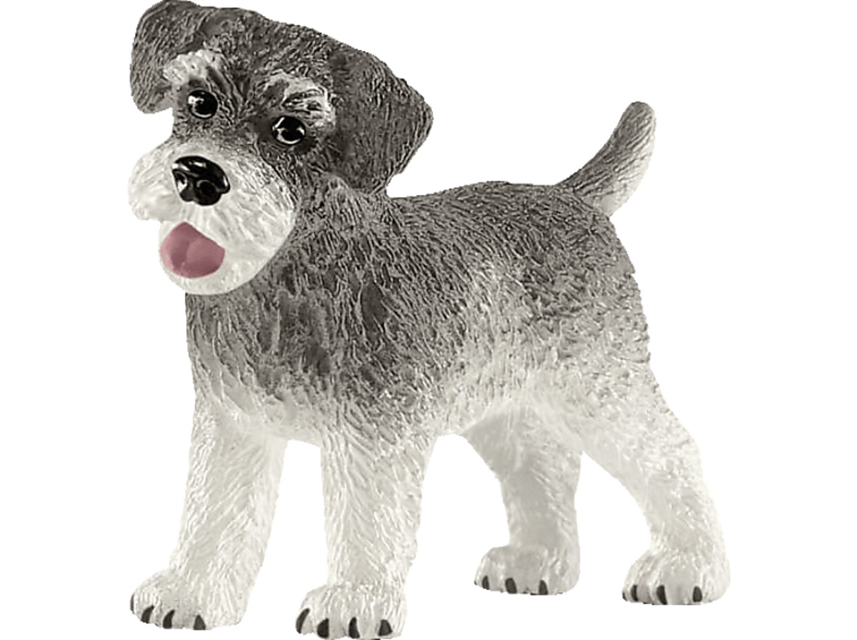 Bild 1 von SCHLEICH Zwergschnauzer Spielfigur Mehrfarbig