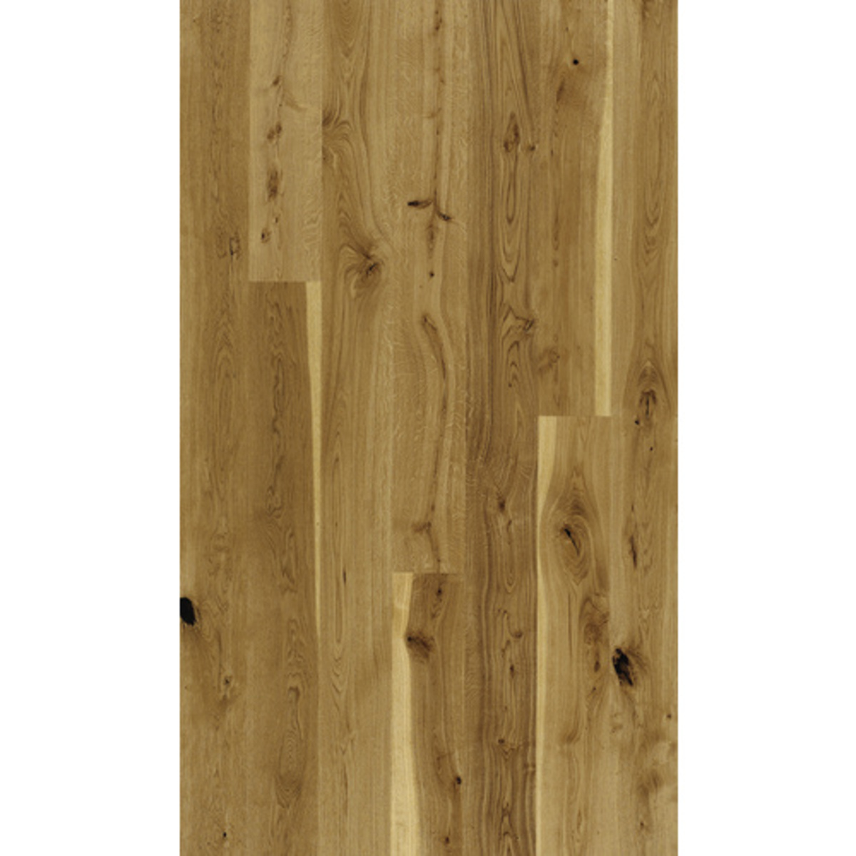 Bild 1 von PARADOR Parkett Handmuster »Basic 11-5«, LxB: 200x185 cm, Eiche - braun